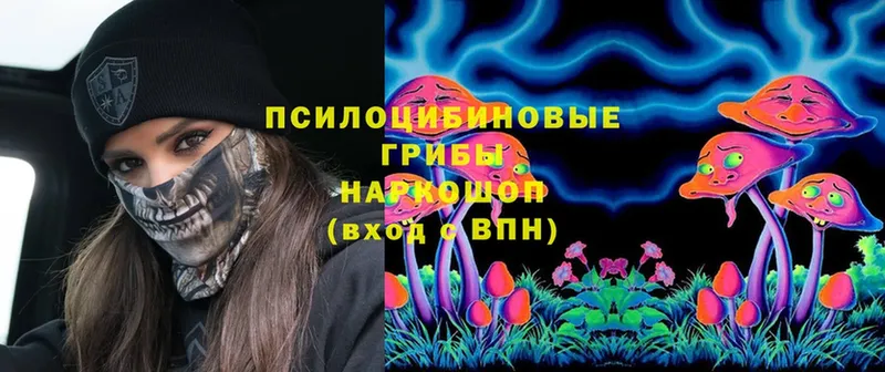 Псилоцибиновые грибы Psilocybe  Лениногорск 